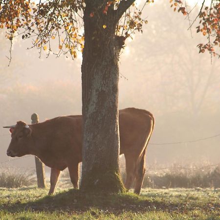 Le Domaine Lieu Bill, Normandie 布伦维尔索梅 外观 照片