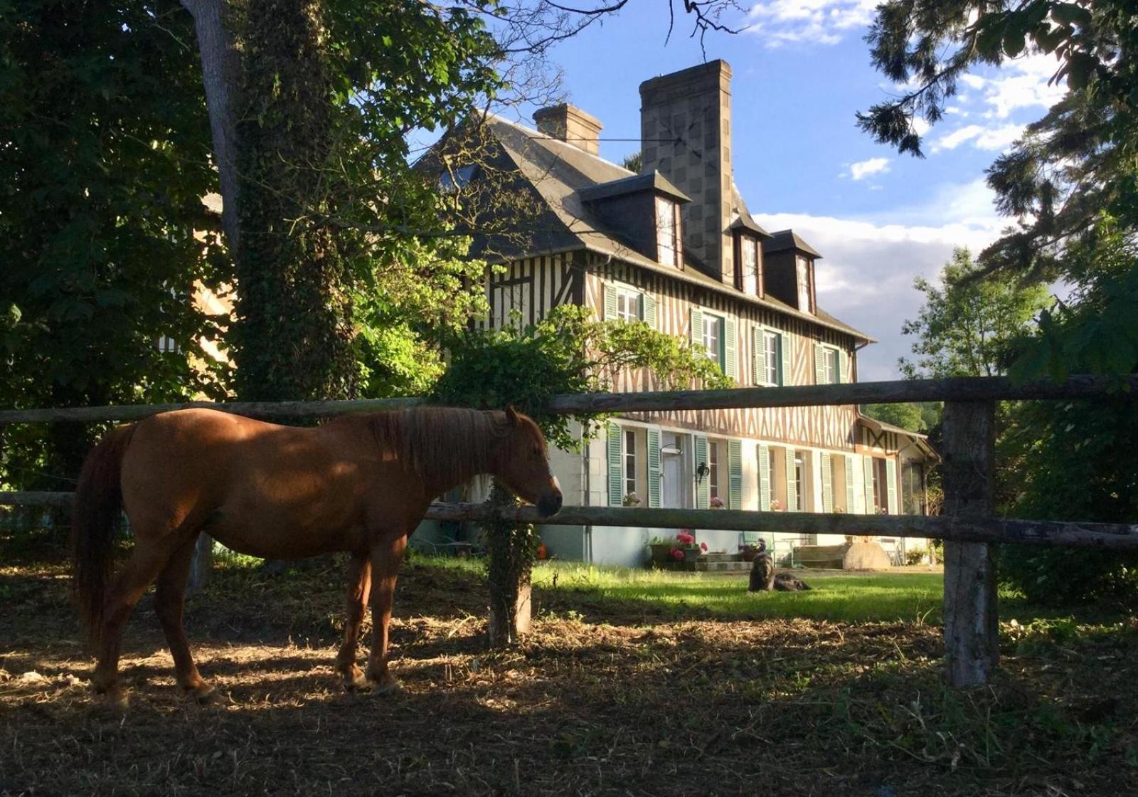 Le Domaine Lieu Bill, Normandie 布伦维尔索梅 外观 照片